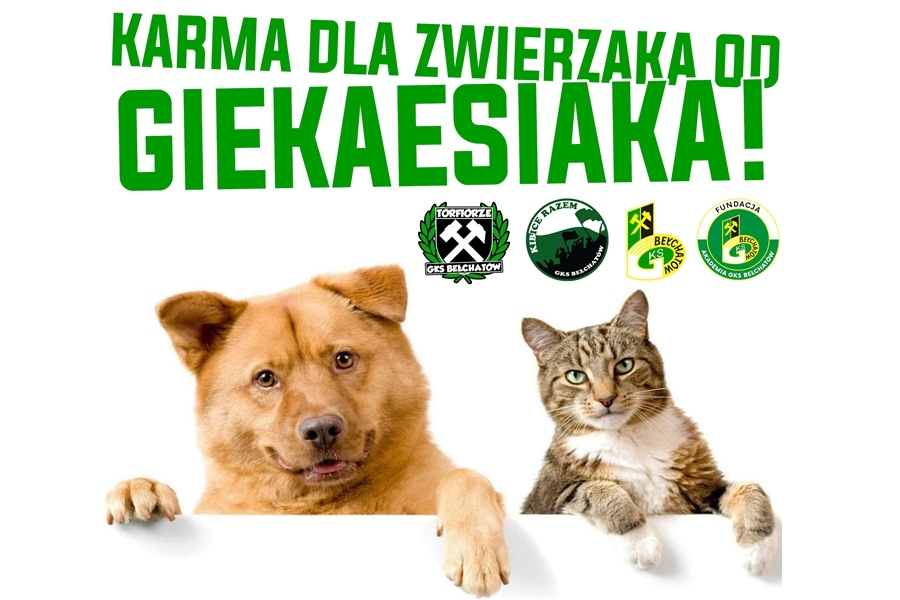 Pomagamy wspólnie zwierzakom!