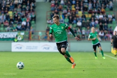 Bilety na ligę i Puchar Polski