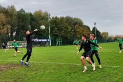 Gra wewnętrzna dla "Zielonych"