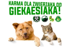 Pomagamy wspólnie zwierzakom!